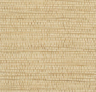 48072 Ruban Les Forets Wallpaper By Arte