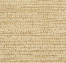 48072 Ruban Les Forets Wallpaper By Arte