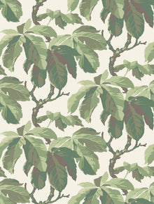 4839 Kastanj Green and White Wallpaper by Boråstapeter