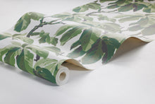4839 Kastanj Green and White Wallpaper by Boråstapeter