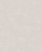 5058 Shades Dolomite Beige Wallpaper by Boråstapeter