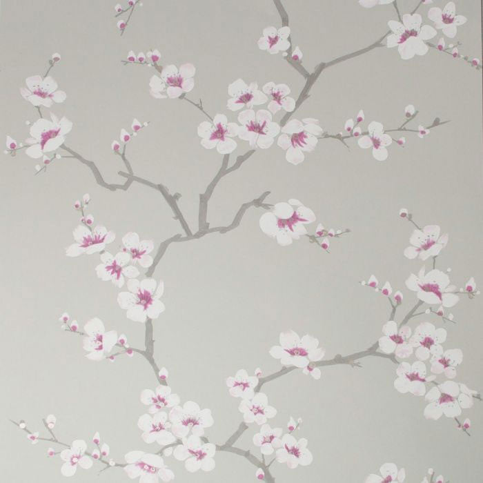 51-057 Apple Blossom Grey Fresco Wallpaper By Graham & Brown