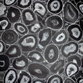Filo Pepper Black Pepper Wallpaper By Hohenberger