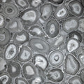 Filo Pepper Black Cumin Wallpaper By Hohenberger