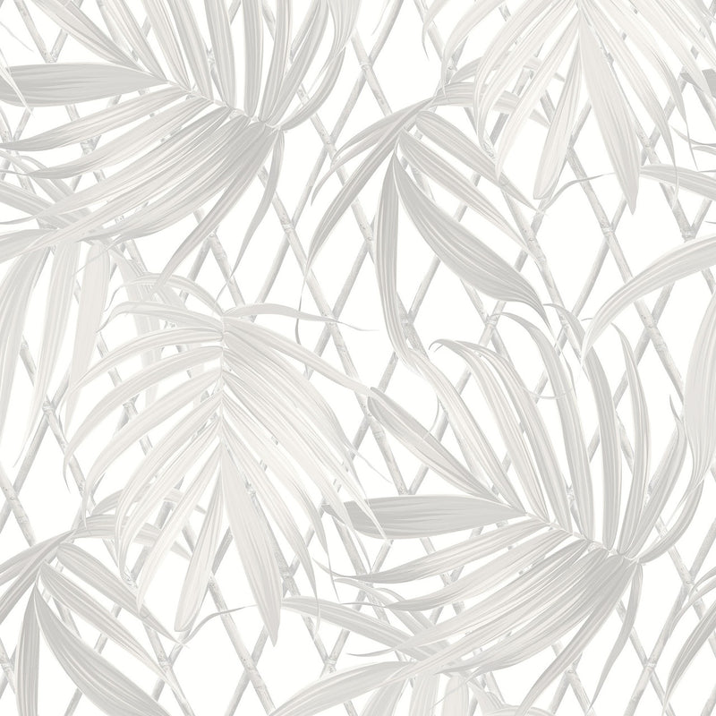 539530 Paradise Palm Neutral Vasari Wallpaper by Rasch