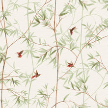 5700047 Pondicherry Spring Serendipia Wallpaper by Coordonné
