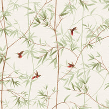 5700047 Pondicherry Spring Serendipia Wallpaper by Coordonné