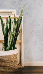 5700054 Norfolk Grey Serendipia Wallpaper by Coordonné
