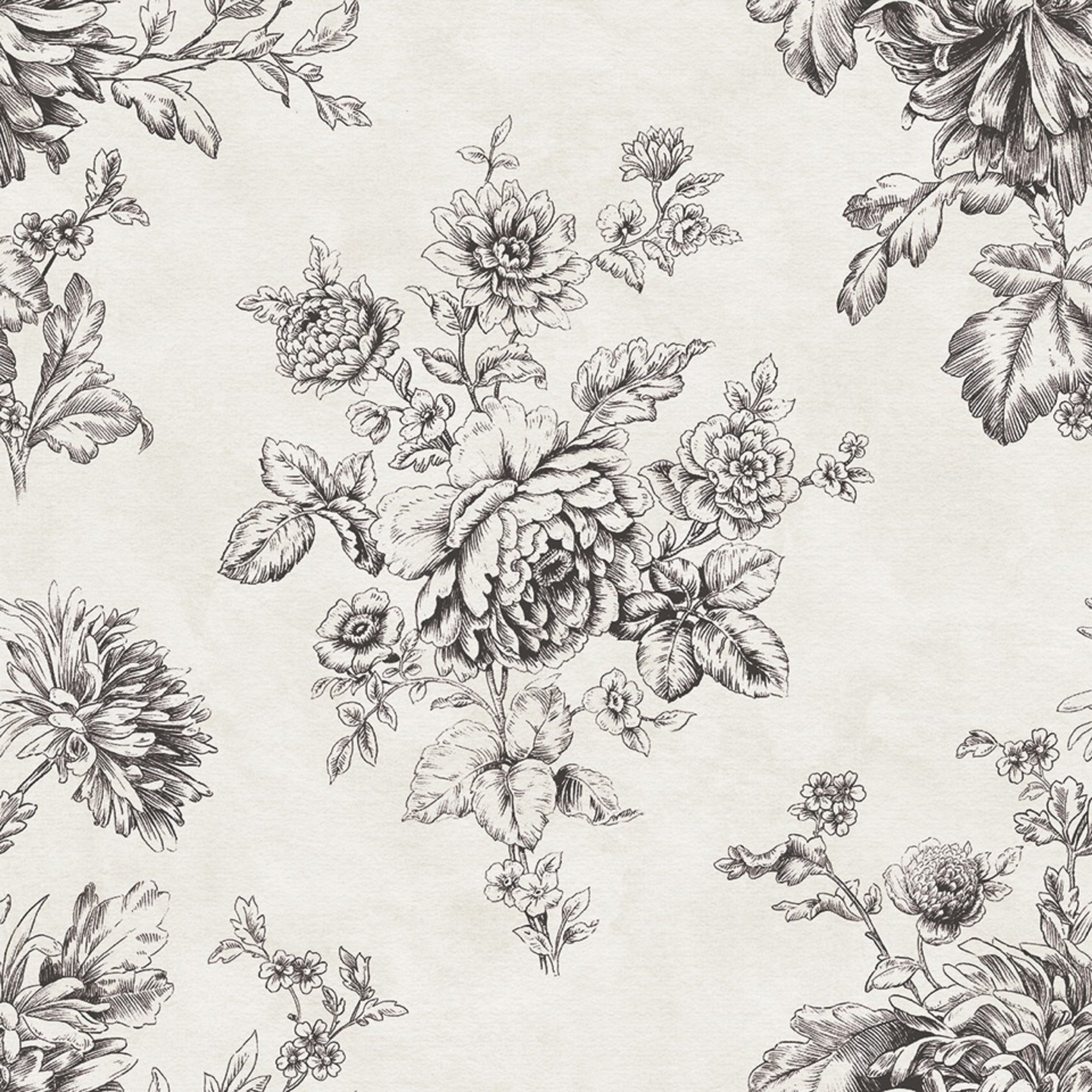 5700055 Norfolk Black Serendipia Wallpaper by Coordonné