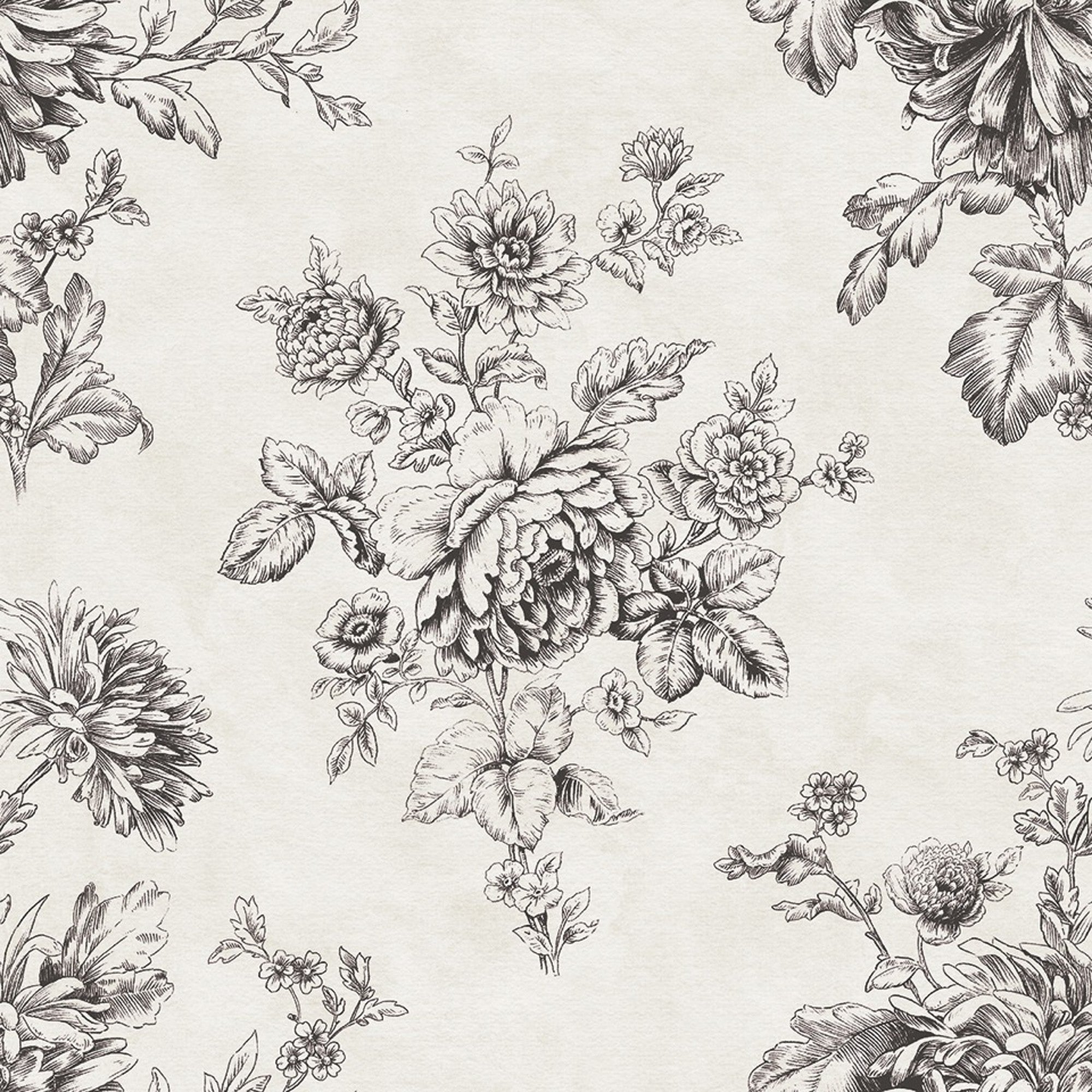 5700055 Norfolk Black Serendipia Wallpaper by Coordonné