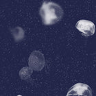 5800011 Jellyfish Blue Essentia Wallpaper by Coordonné