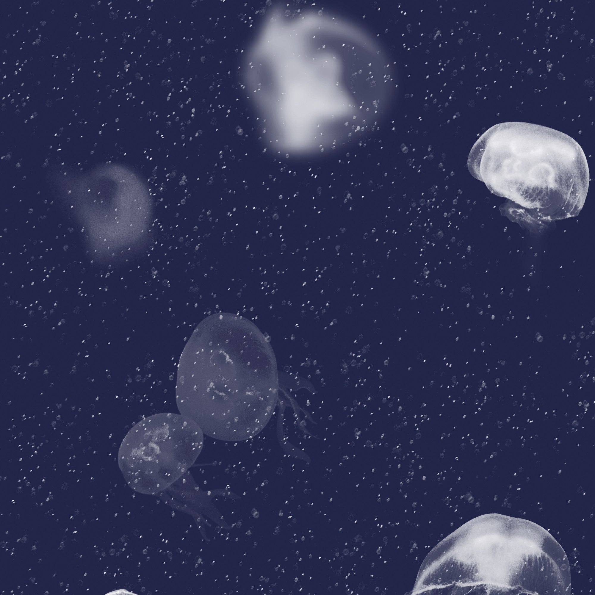 5800011 Jellyfish Blue Essentia Wallpaper by Coordonné