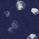 Jellyfish Blue Essentia Wallpaper by Coordonné