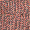 Fish Skin Red Essentia Wallpaper by Coordonné