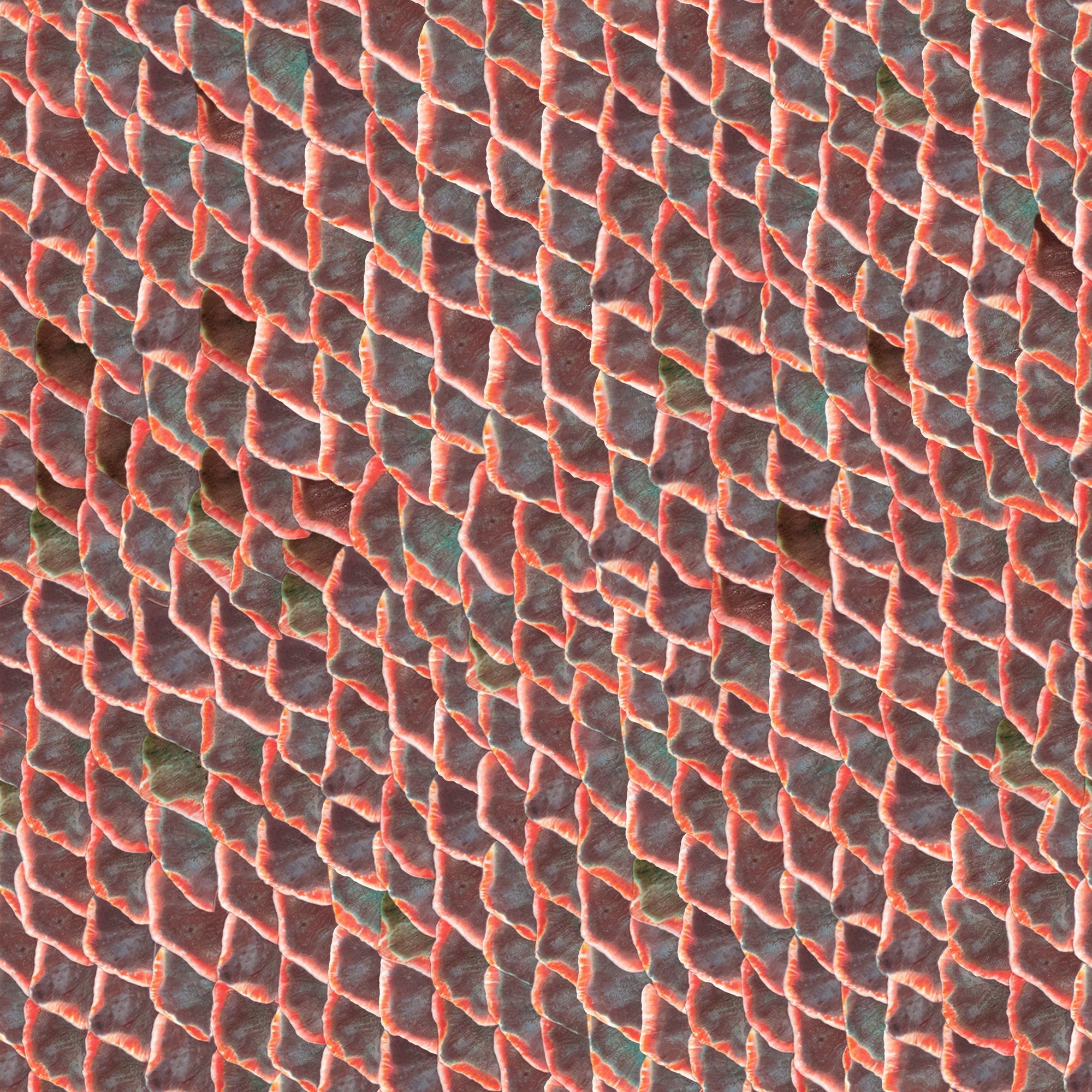5800031 Fish Skin Red Essentia Wallpaper by Coordonné