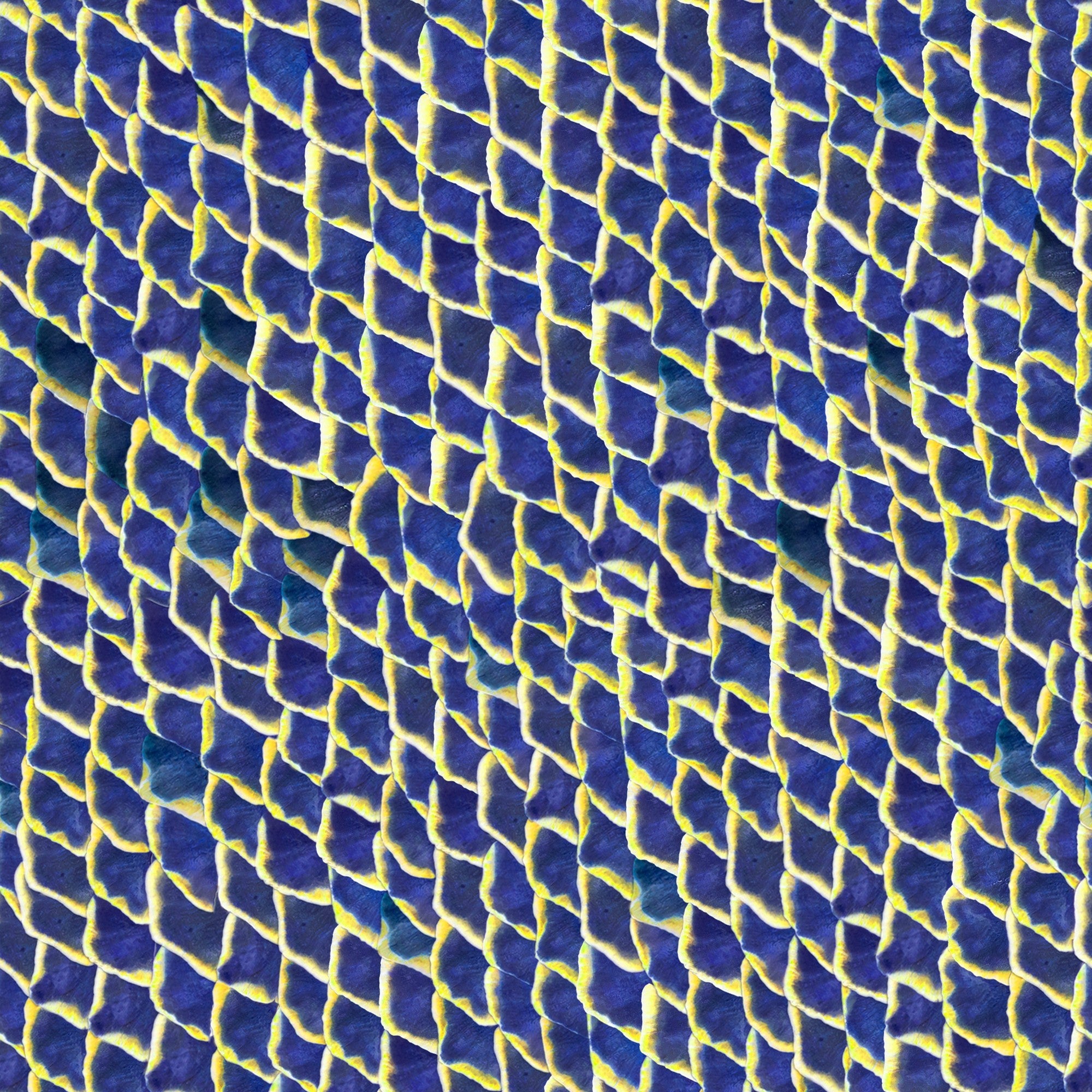 5800032 Fish Skin Blue Essentia Wallpaper by Coordonné