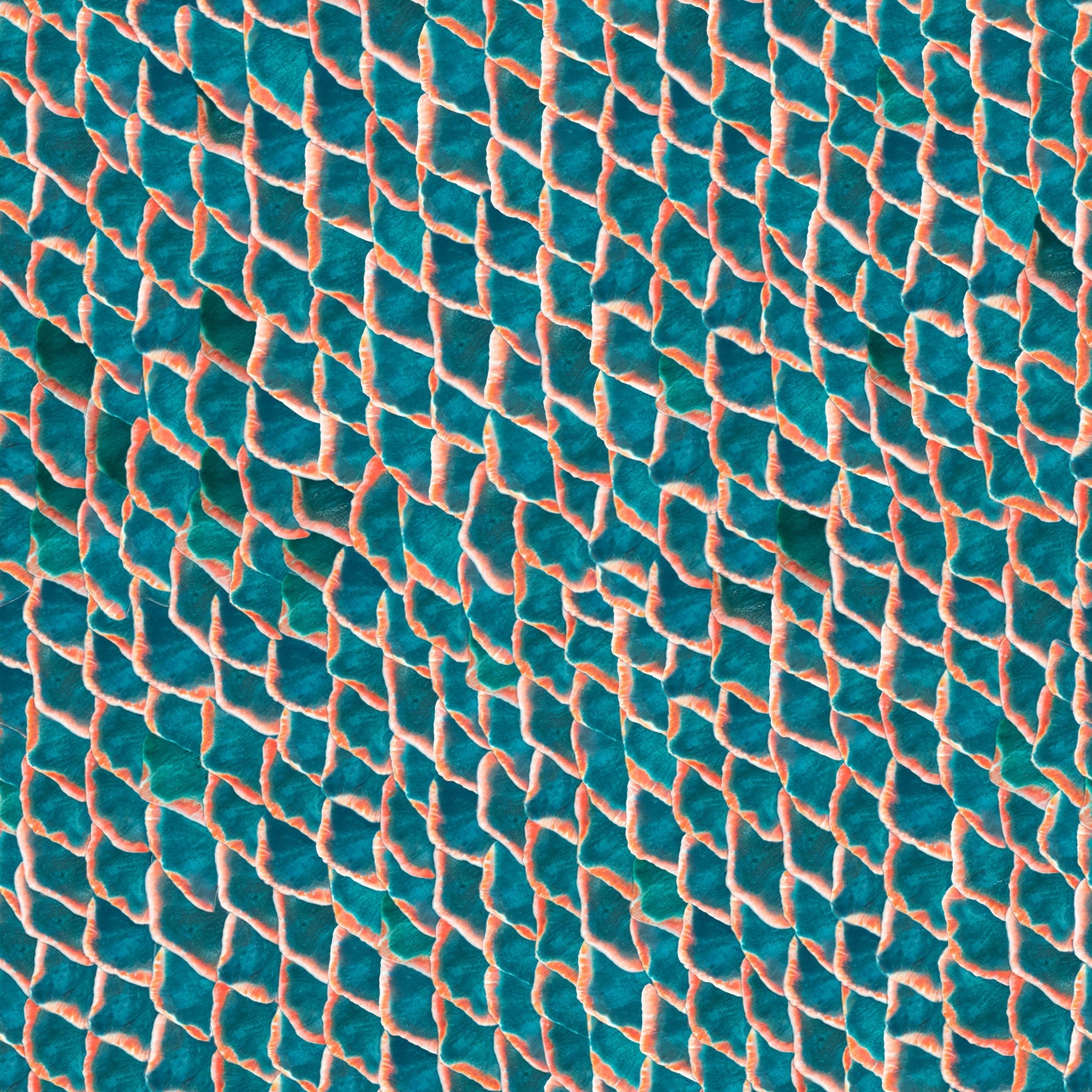 5800033 Fish Skin Original Essentia Wallpaper by Coordonné