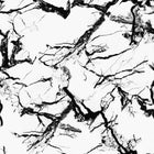 5800041 Marble White Essentia Wallpaper by Coordonné