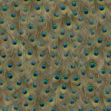 5800051 Peafowl Original Essentia Wallpaper by Coordonné