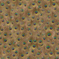 Peafowl Warm Essentia Wallpaper by Coordonné