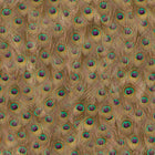 5800052 Peafowl Warm Essentia Wallpaper by Coordonné