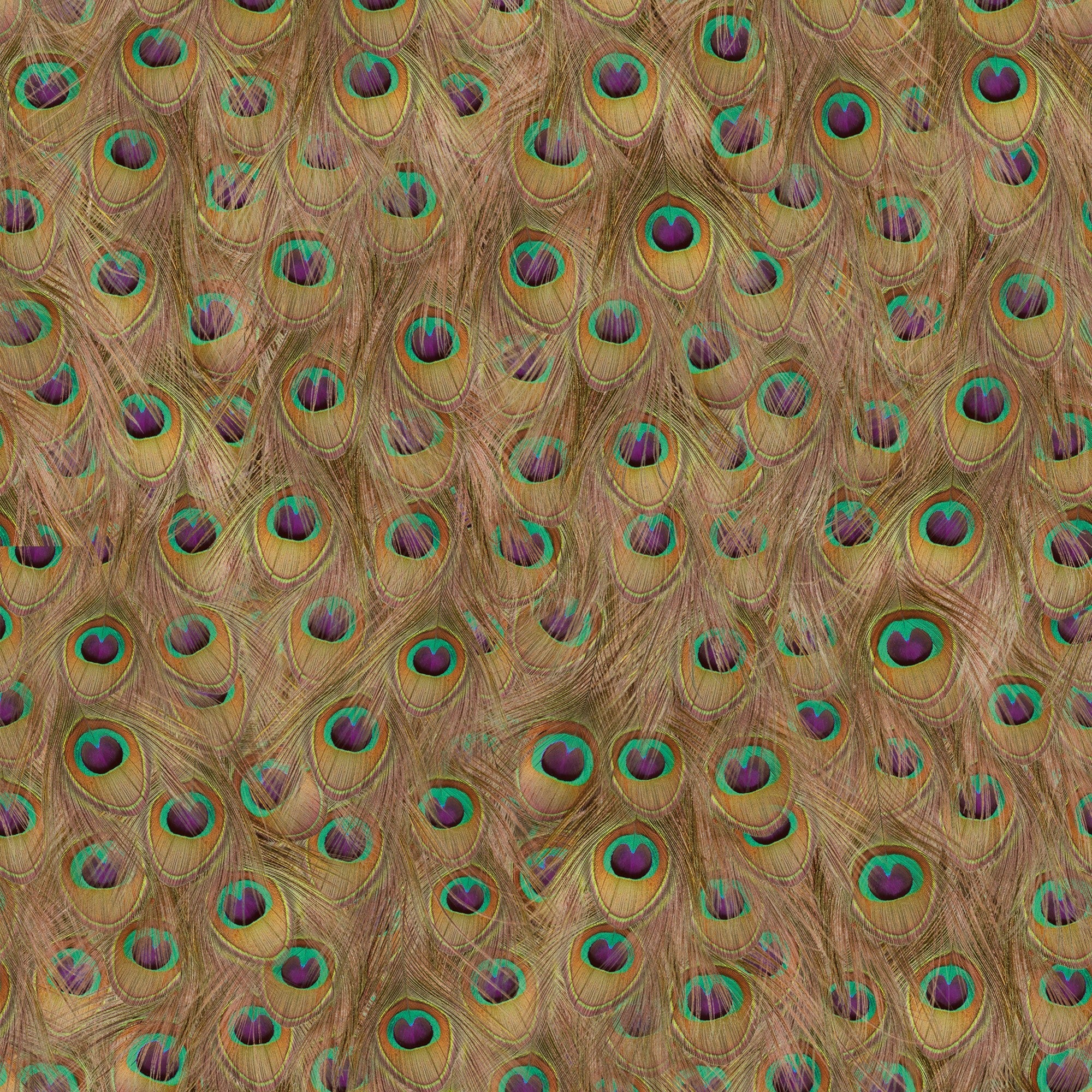 5800052 Peafowl Warm Essentia Wallpaper by Coordonné