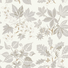 5833 Arboretum Grey and Beige Wallpaper by Boråstapeter