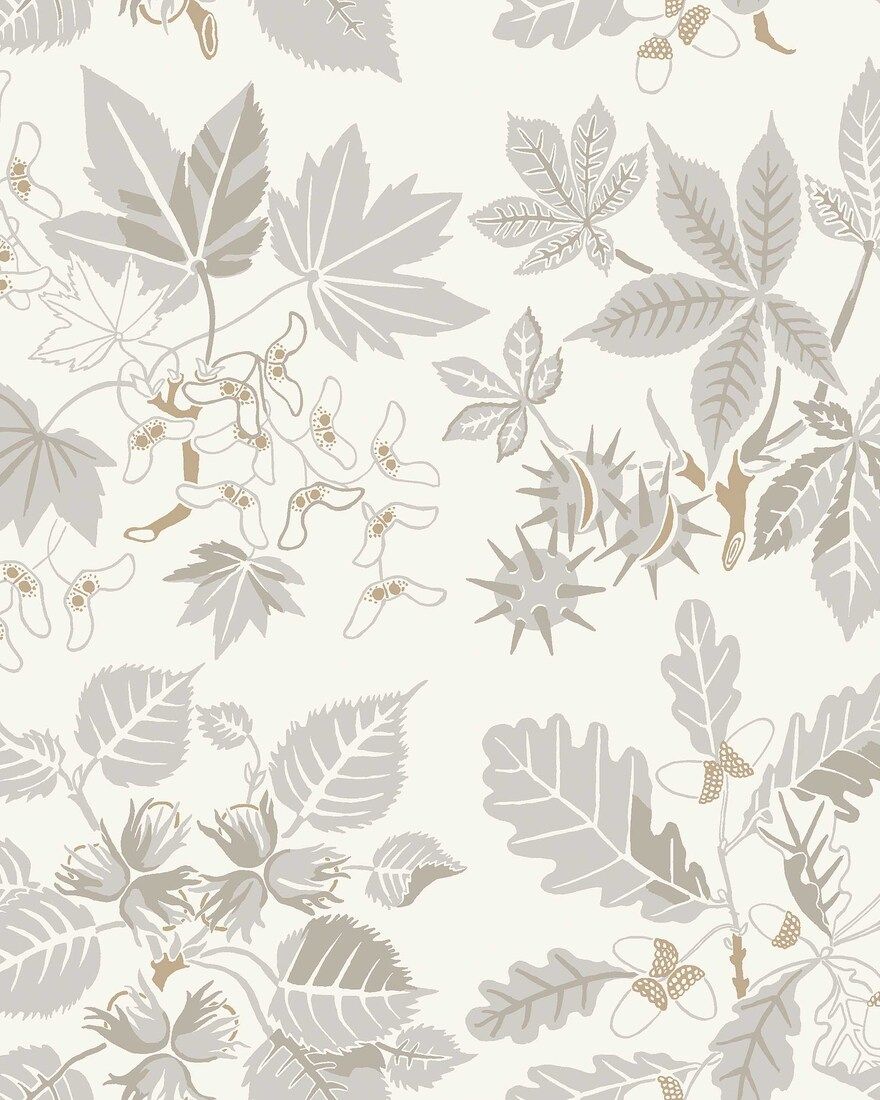 5833 Arboretum Grey and Beige Wallpaper by Boråstapeter