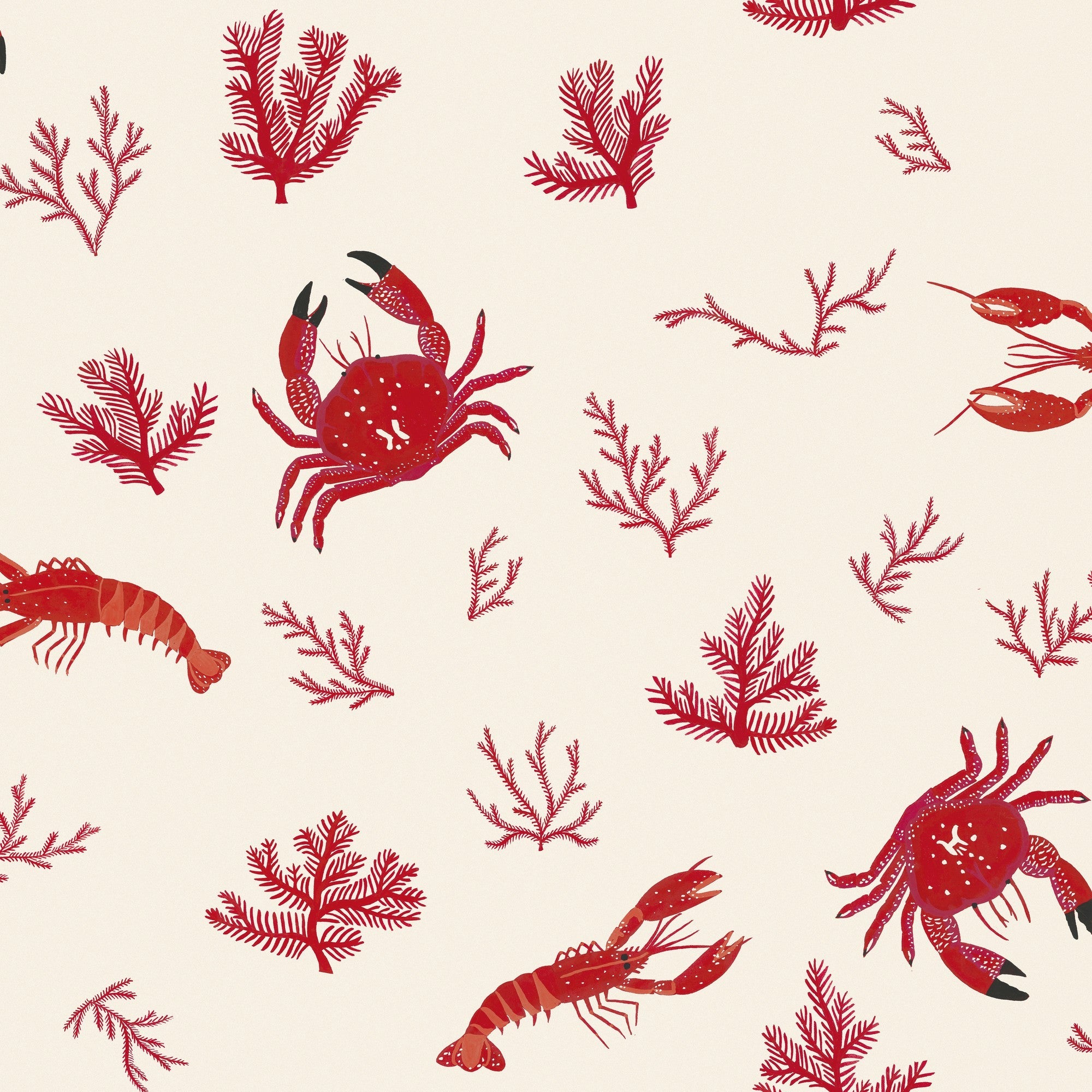 5900040 Crustáceos Hueso Anima Wallpaper by Coordonné