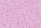 5900080 Fractal Rosa (450 × 270 cm) Anima Mural by Coordonné