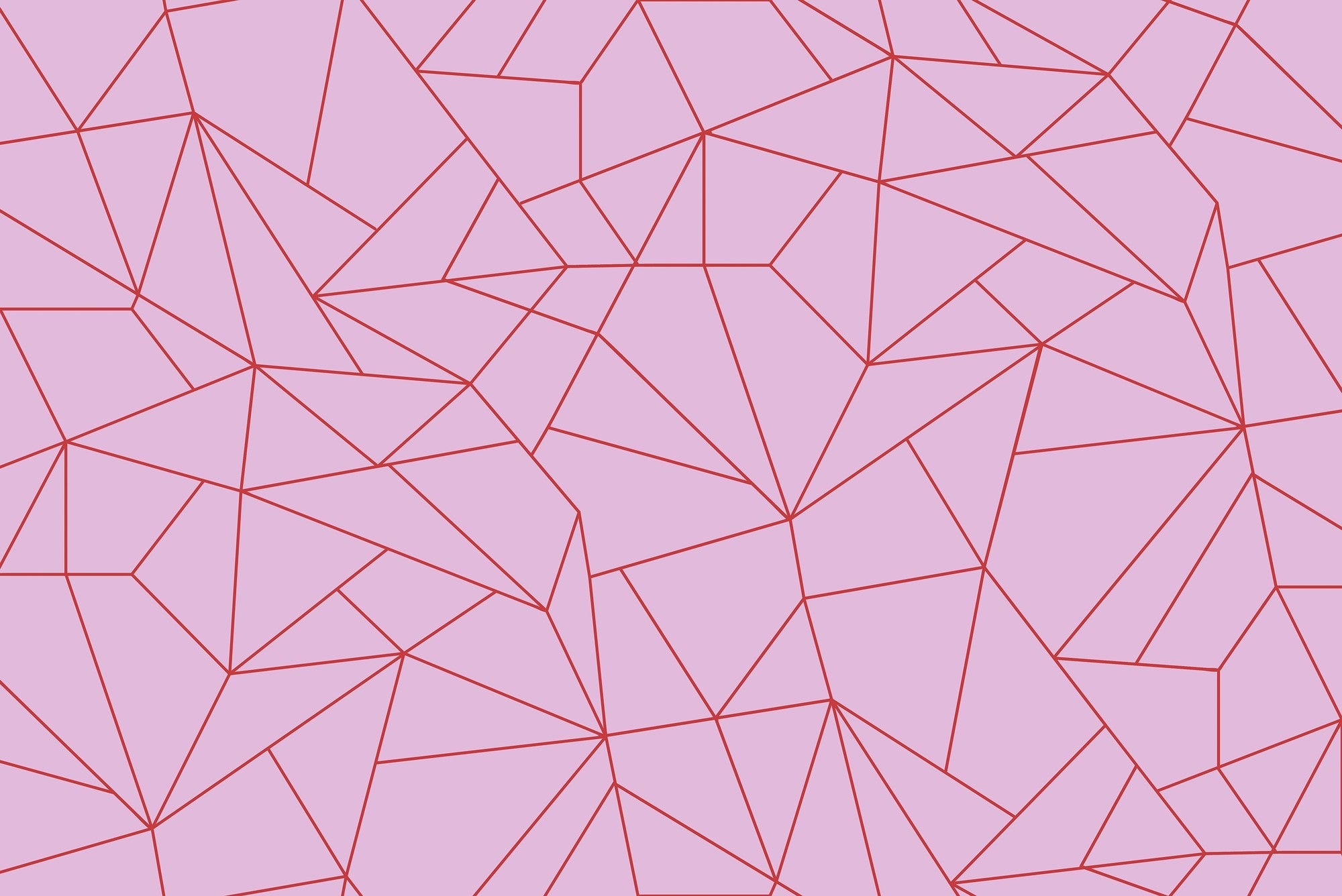 5900080 Fractal Rosa (450 × 270 cm) Anima Mural by Coordonné