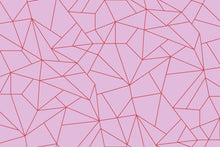 5900080 Fractal Rosa (450 × 270 cm) Anima Mural by Coordonné