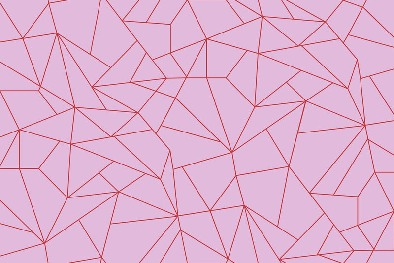 5900080 Fractal Rosa (450 × 270 cm) Anima Mural by Coordonné