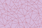 5900080 Fractal Rosa (450 × 270 cm) Anima Mural by Coordonné