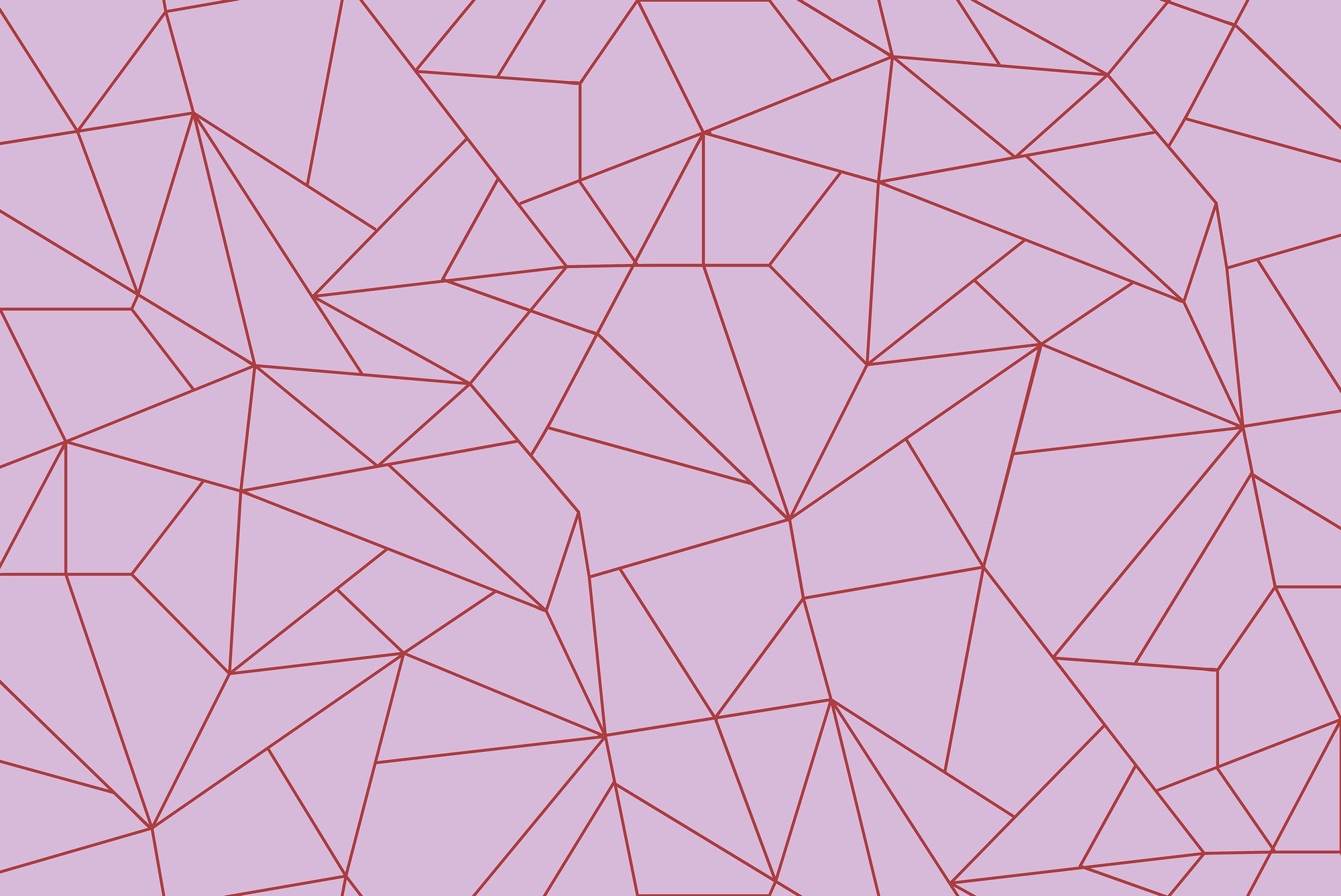 5900080 Fractal Rosa (450 × 270 cm) Anima Mural by Coordonné