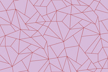 5900080 Fractal Rosa (450 × 270 cm) Anima Mural by Coordonné