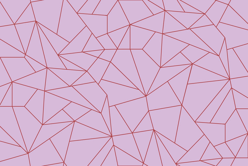 5900080 Fractal Rosa (450 × 270 cm) Anima Mural by Coordonné