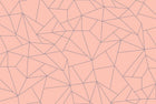5900082 Fractal Salmón (450 × 270 cm) Anima Mural by Coordonné