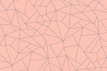 5900082 Fractal Salmón (450 × 270 cm) Anima Mural by Coordonné