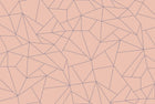 5900082 Fractal Salmón (450 × 270 cm) Anima Mural by Coordonné
