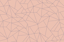 5900082 Fractal Salmón (450 × 270 cm) Anima Mural by Coordonné