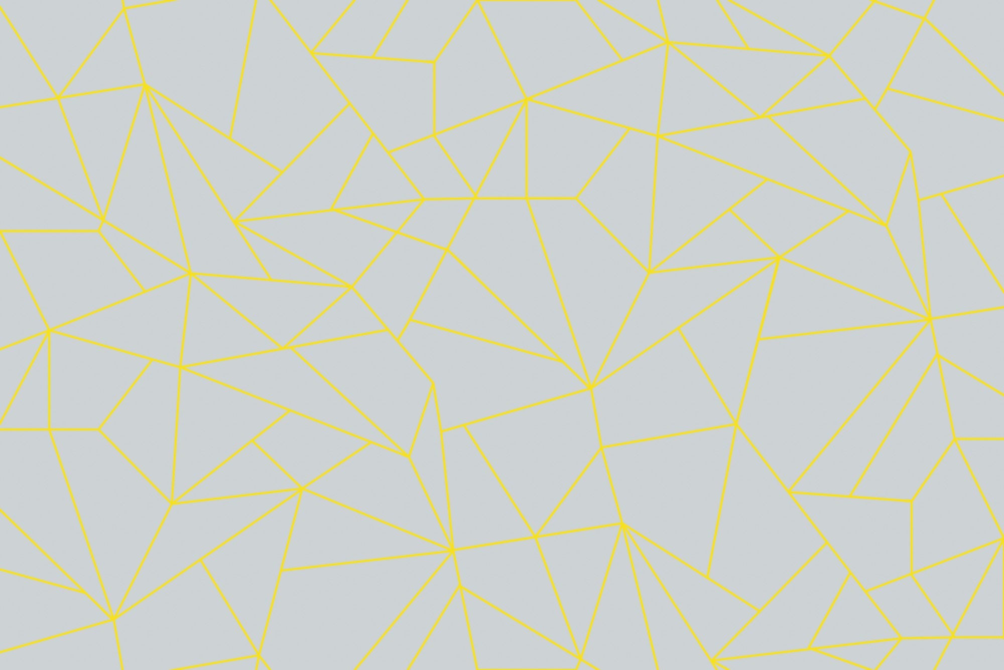 5900083 Fractal Piedra (450 × 270 cm) Anima Mural by Coordonné