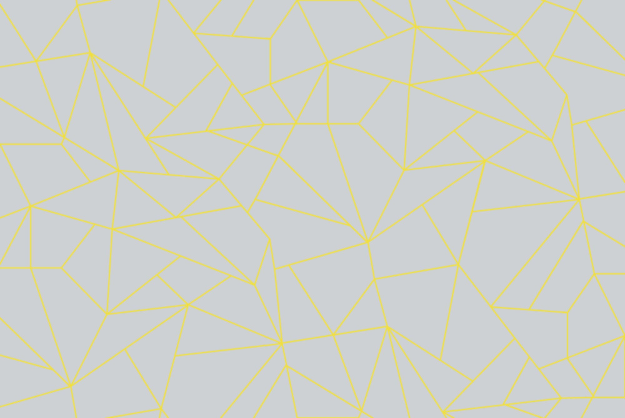 5900083 Fractal Piedra (450 × 270 cm) Anima Mural by Coordonné