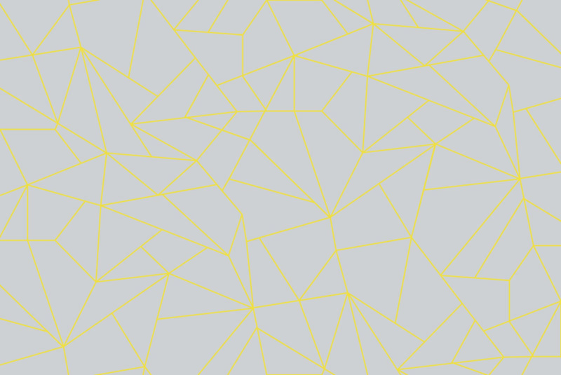 5900083 Fractal Piedra (450 × 270 cm) Anima Mural by Coordonné