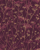 120397 Wild Chervil Wallpaper by Clarissa Hulse