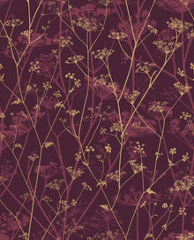 120397 Wild Chervil Wallpaper by Clarissa Hulse