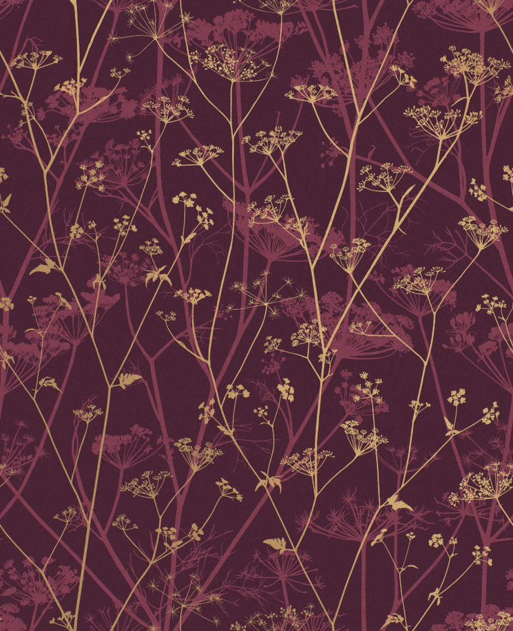 120397 Wild Chervil Wallpaper by Clarissa Hulse