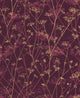 Wild Chervil Wallpaper by Clarissa Hulse