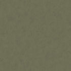 61040 Green Kalk II Wallpaper by Tres Tintas