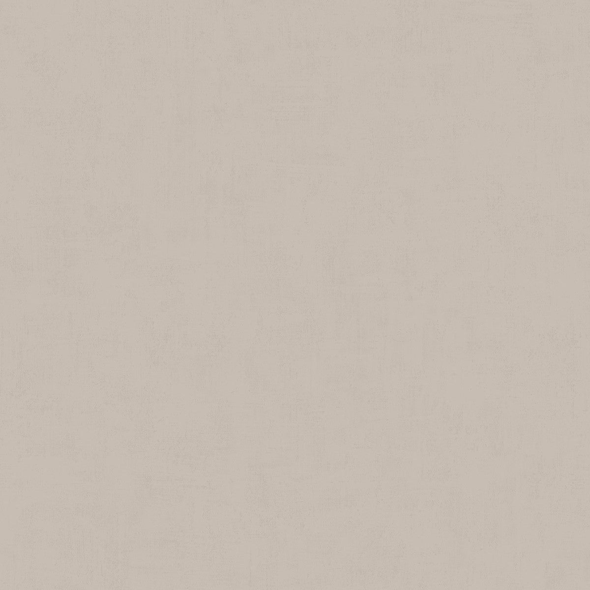 61062 Greige Kalk II Wallpaper by Tres Tintas